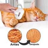 Cepillo Vaporizador para Mascotas